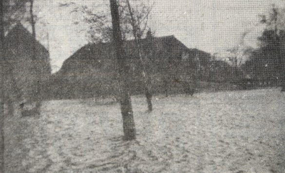 De bomen bij de boerderij beschermen de gebouwen tegen het water.