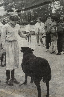 Op dierendag mogen er dieren mee naar school die door de de dierenarts gekeurd worden