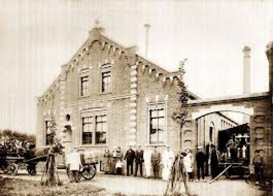De Genemuider Stoomzuivelfabriek regelde land en voer voor de koeien in Mastenbroek voorjaar en...